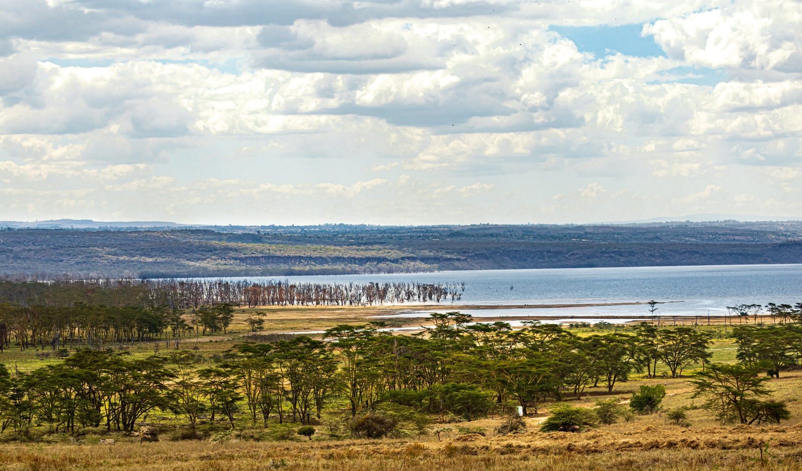 51953965512_c769ab08e2_5k Lake Nakuru National Park