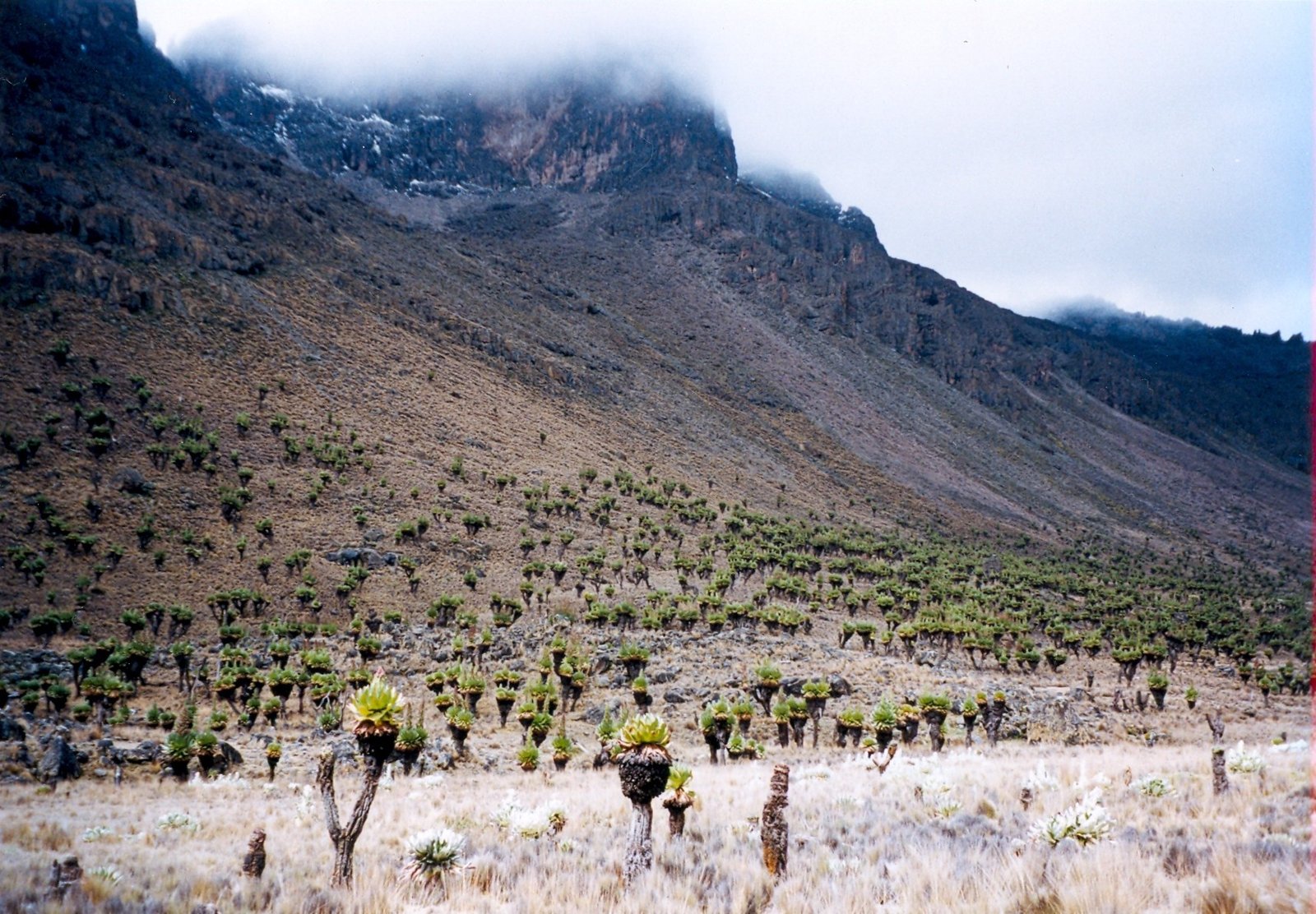 Mount Kenya National Park and Reserve