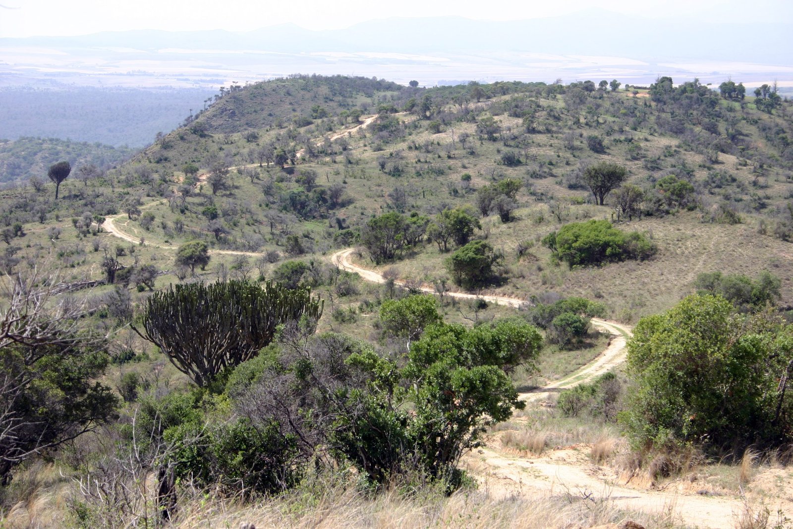 Road_to_Lewa_(Kenya) Lewa Conservancy