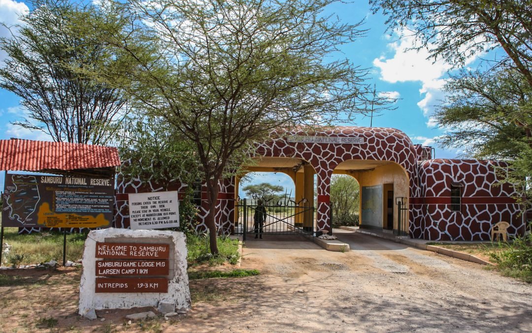 15 Things to Do While Visiting Samburu National Reserve 