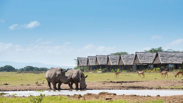 Sweetwaters Serena Camp