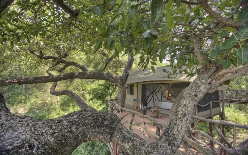 Sarara Tree house samburu national reserve accommodation