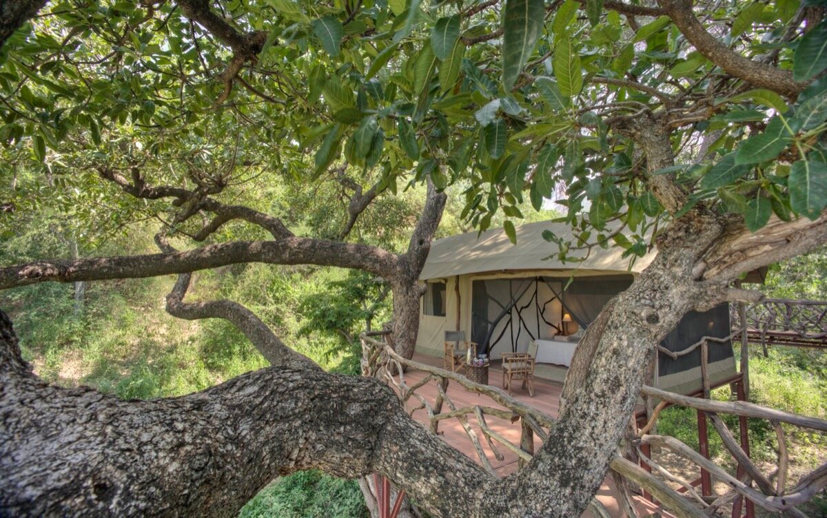 Sarara-Tree-house-samburu-national-reserve-accommodation