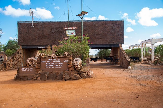 tsavo east safari tips